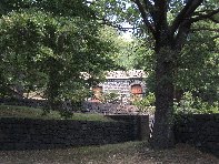 fugio Paterno-20100711 017